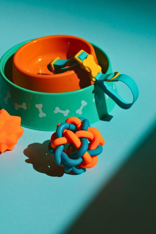 Best Pet Accessories from Pet Cart for Your Beloved Companion